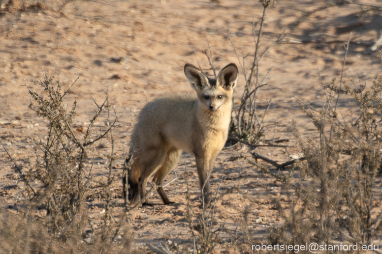 namibia 2018